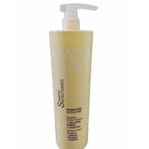 Soins kyo SHAMPOO RISTRUTTURANTE kyo - 1