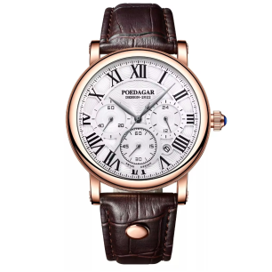 Montre Homme POEDAGAR  986 - POEDAGAR