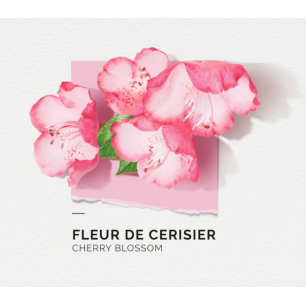 Solinotes Eau de Parfum Fleur de Cerisier - Solinotes paris