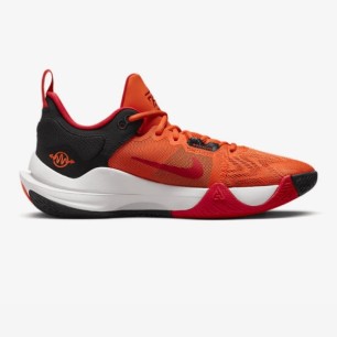 Chaussures de sport Homme GIANNIS IMMORTALITY 2 DM0825800 - NIKE