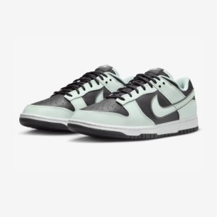 Chaussures de sport Homme NIKE DUNK LOW RETRO PRM FZ1670001 - NIKE