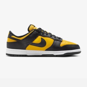 Chaussures de sport Homme NIKE DUNK LOW FZ4618001 - NIKE