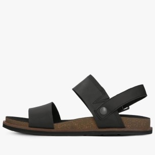 AMALFI VIBES 2 STRAP SANDAL JET BLACK...