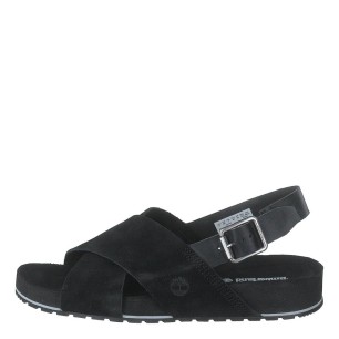 Sandale Femme TIMBERLAND MALIBU WAVES BASIC CROSS STRAP SANDAL JET BLACK  TB0A41KQ151 - TIMBERLAND