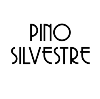 Pino Silvestre